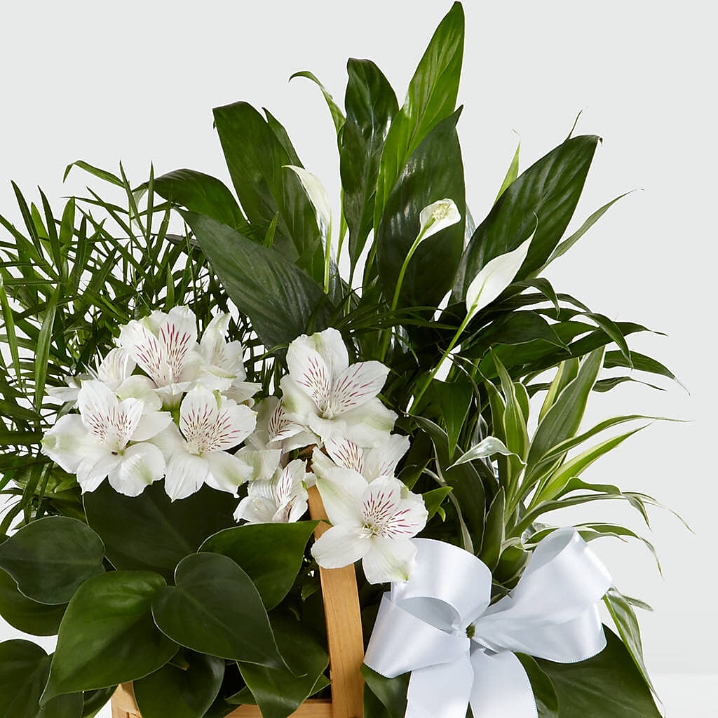 Peace & Serenity Dishgarden – CHESAPEAKE FLORAL & GIFTS, Chesapeake VA