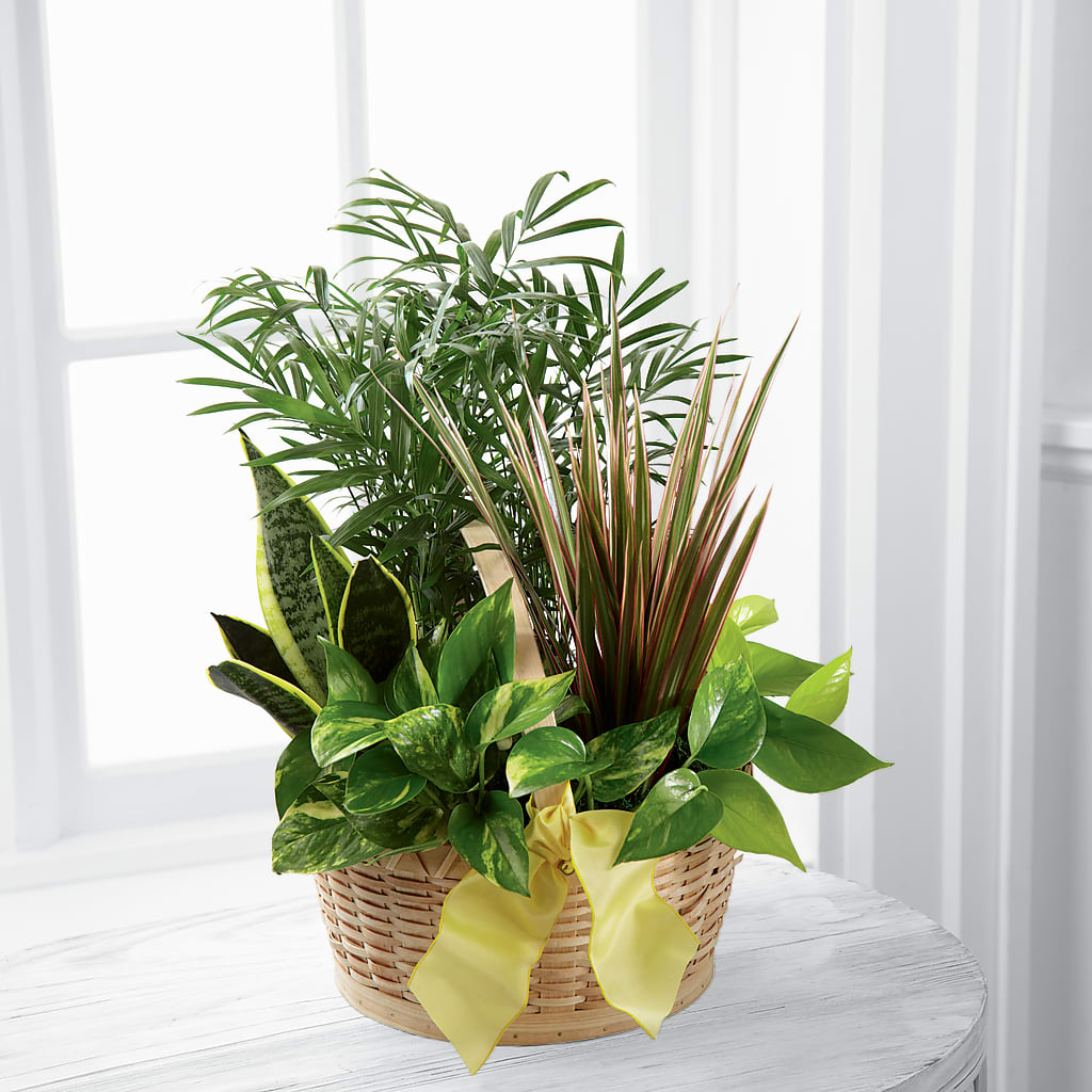 French Garden – CHESAPEAKE FLORAL & GIFTS, Chesapeake VA