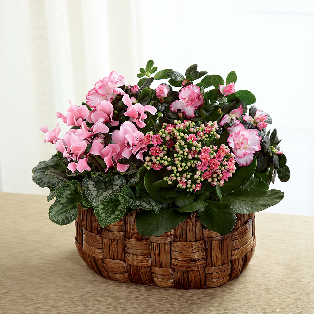 Pink Assortment – CHESAPEAKE FLORAL & GIFTS, Chesapeake VA