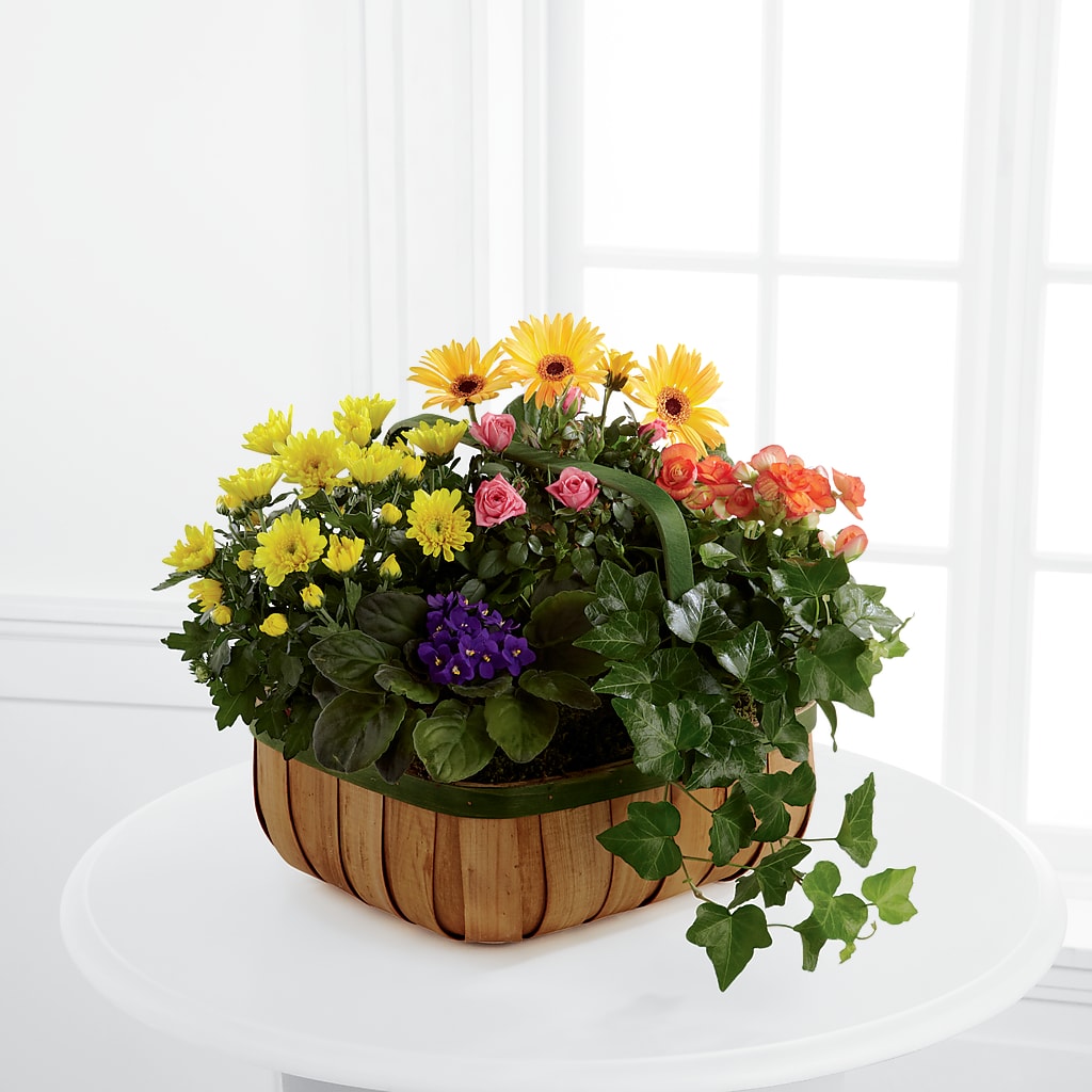 Gentle Blossoms Basket – CHESAPEAKE FLORAL & GIFTS, Chesapeake VA