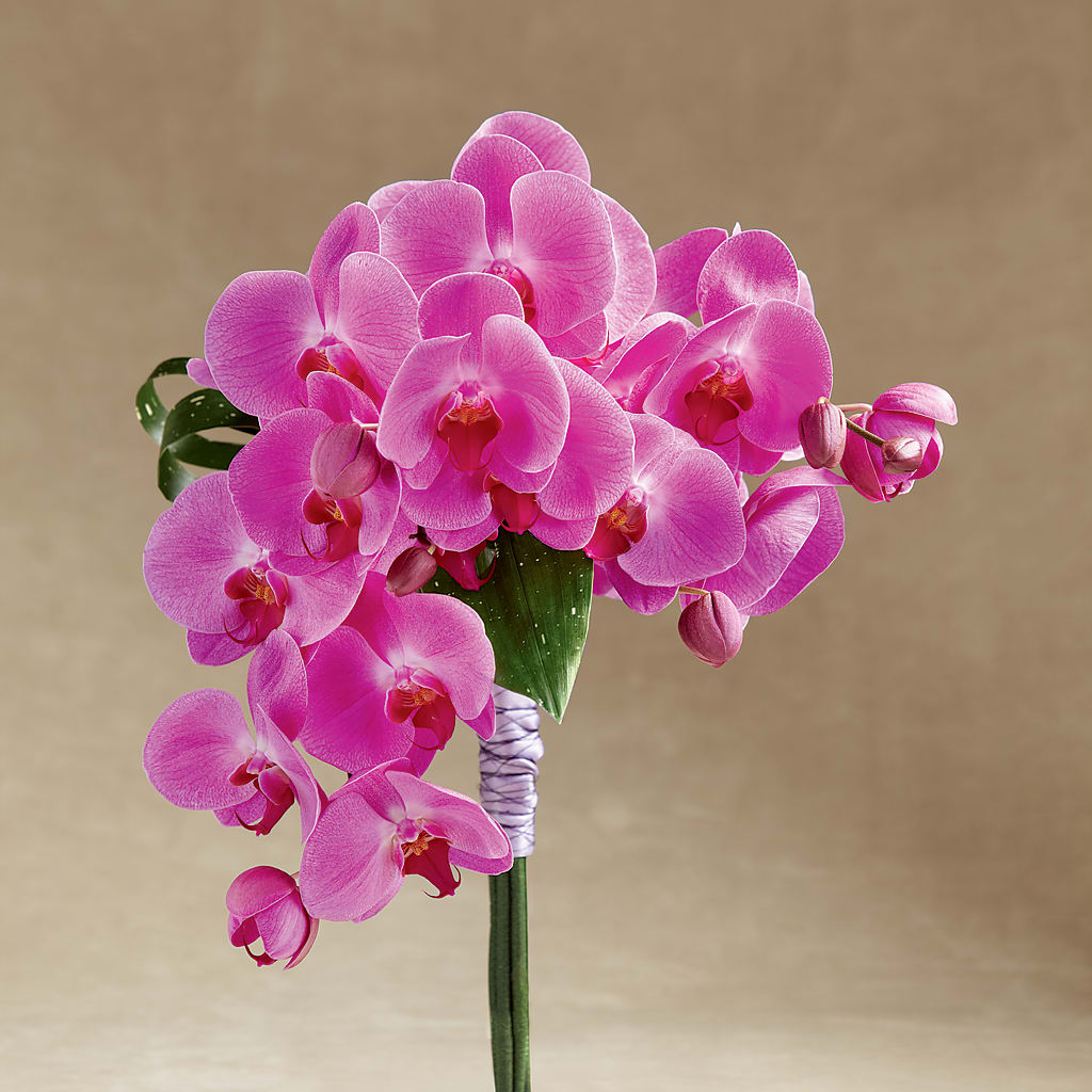 Glorious Bouquet – CHESAPEAKE FLORAL & GIFTS, Chesapeake VA