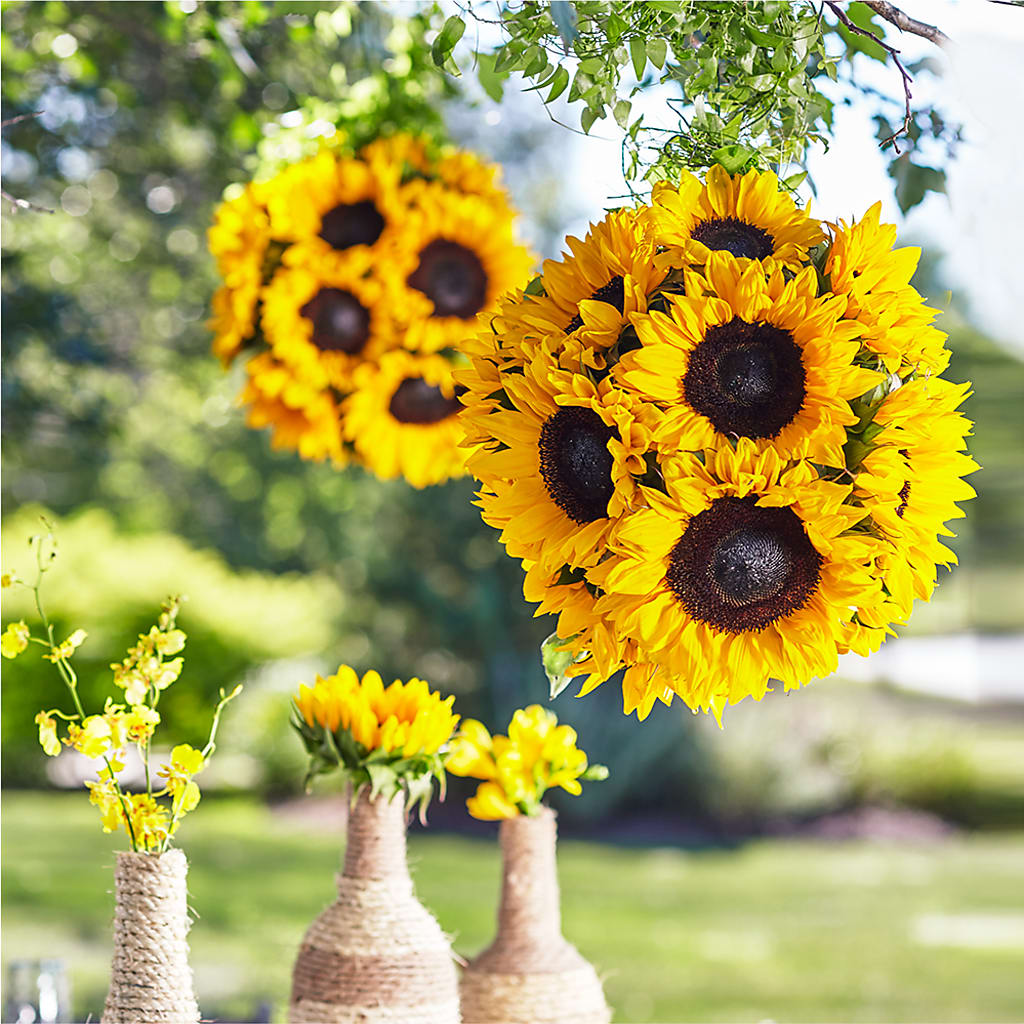 Sublime Garden Hanging Arrangement – CHESAPEAKE FLORAL & GIFTS, Chesapeake VA