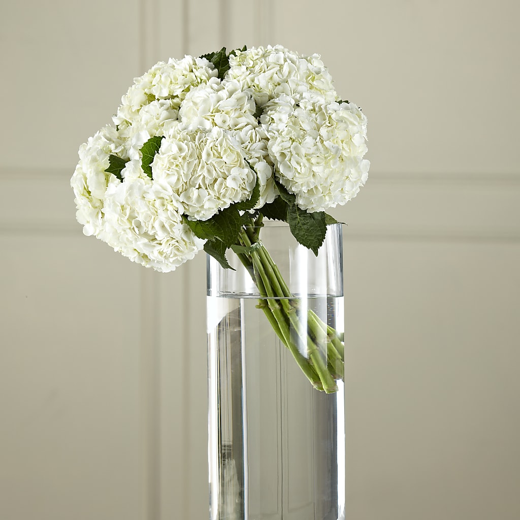 White Hydrangea Hand-Tied Bouquet – CHESAPEAKE FLORAL & GIFTS, Chesapeake VA