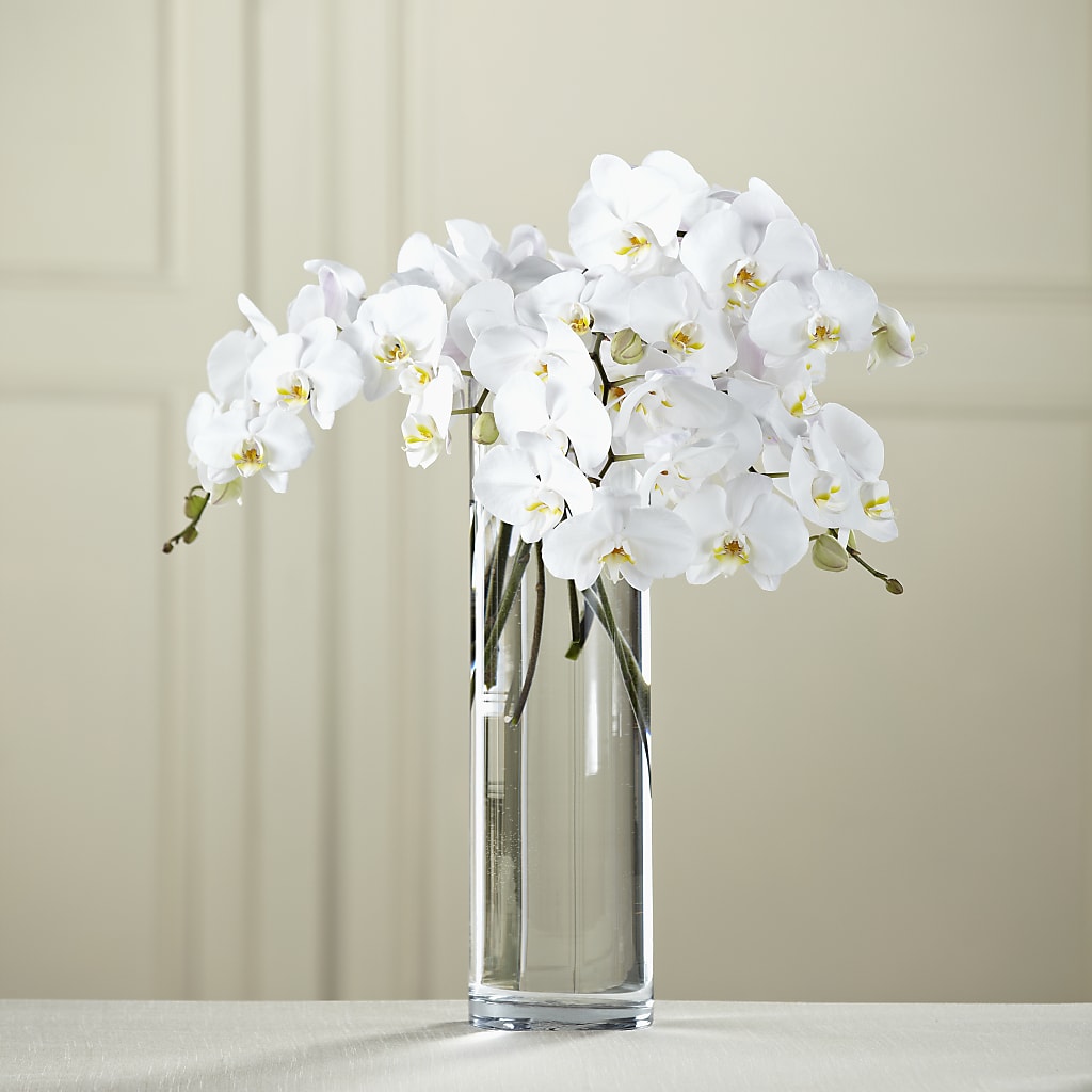 White Phalaenopsis Bouquet – CHESAPEAKE FLORAL & GIFTS, Chesapeake VA