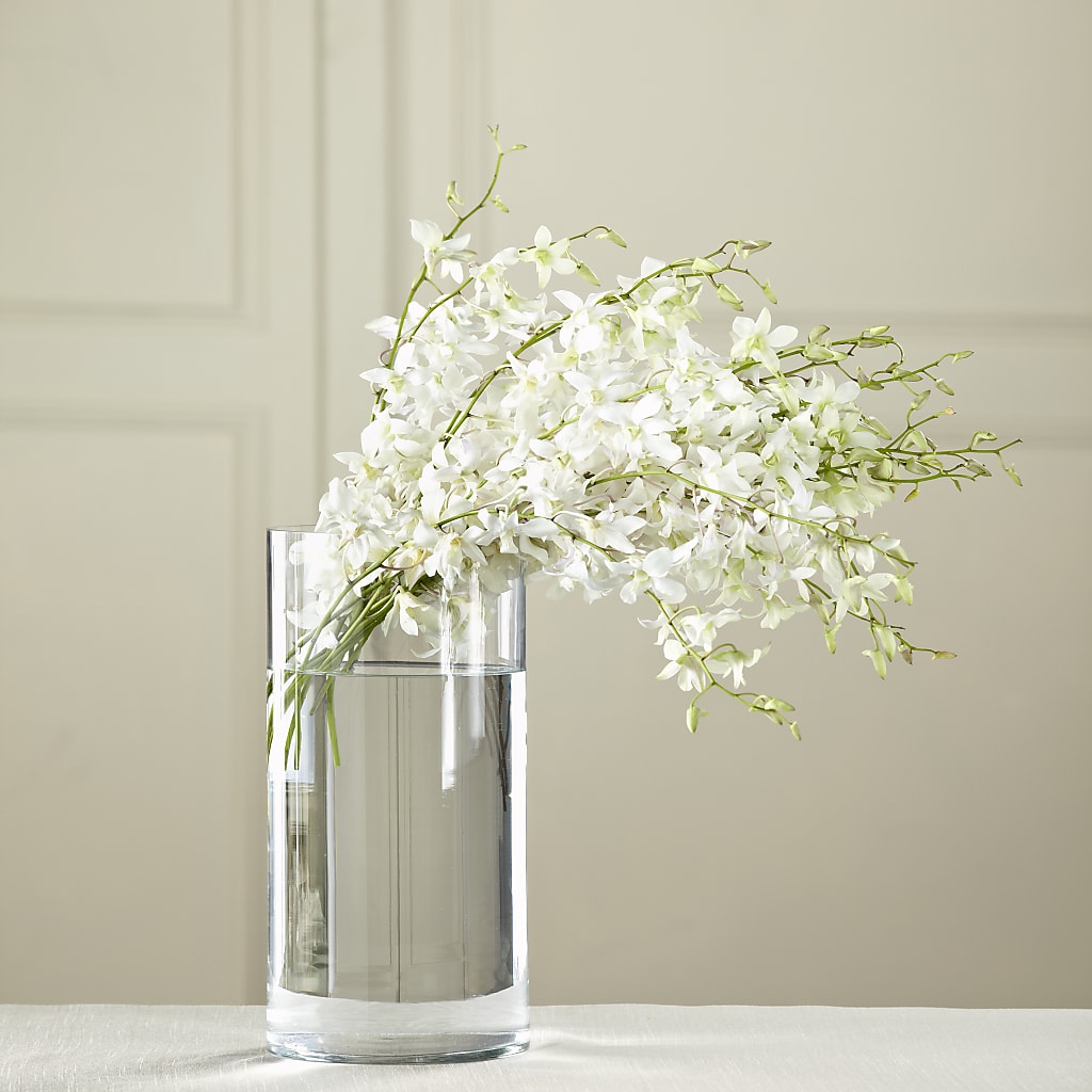 White Dendrobium Bouquet – CHESAPEAKE FLORAL & GIFTS, Chesapeake VA