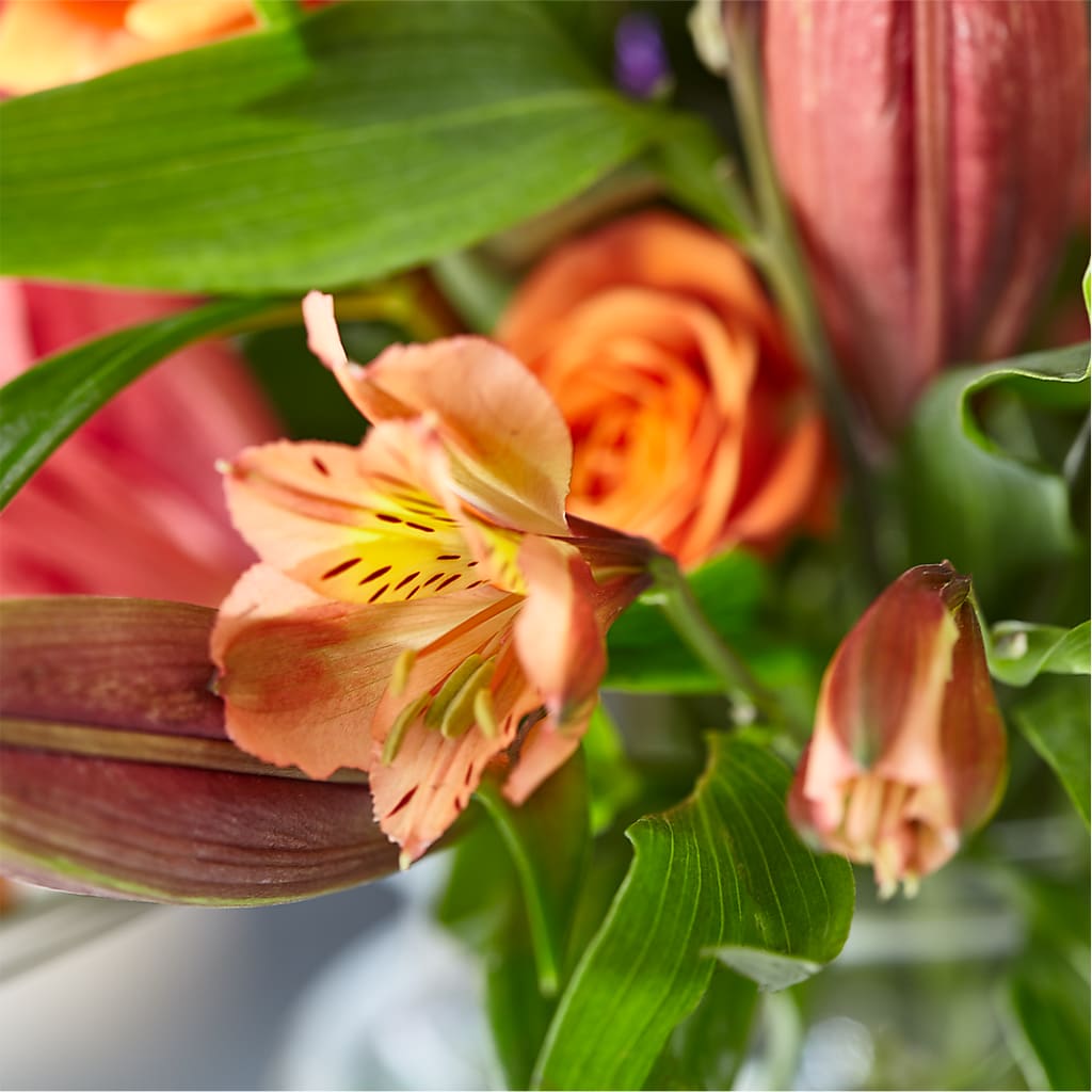 Bold & Bright – A Florist Original – CHESAPEAKE FLORAL & GIFTS, Chesapeake VA