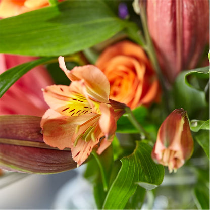 Bold & Bright – A Florist Original – CHESAPEAKE FLORAL & GIFTS, Chesapeake VA