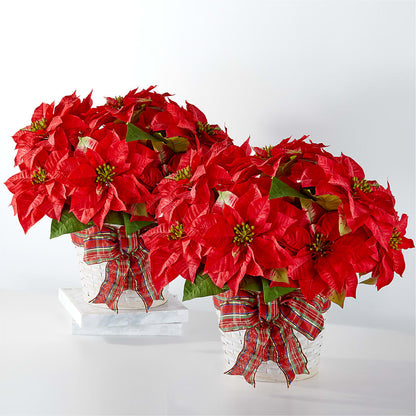 Happiest Holidays Poinsettia Bundle – CHESAPEAKE FLORAL & GIFTS, Chesapeake VA