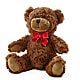 Adorable Plush Bear – CHESAPEAKE FLORAL & GIFTS, Chesapeake VA