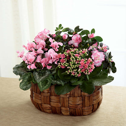 Pink Assortment – CHESAPEAKE FLORAL & GIFTS, Chesapeake VA