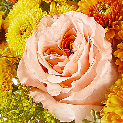 Peachy Pumpkin – CHESAPEAKE FLORAL & GIFTS, Chesapeake VA