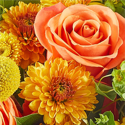 Gourdgeous Pumpkin – CHESAPEAKE FLORAL & GIFTS, Chesapeake VA