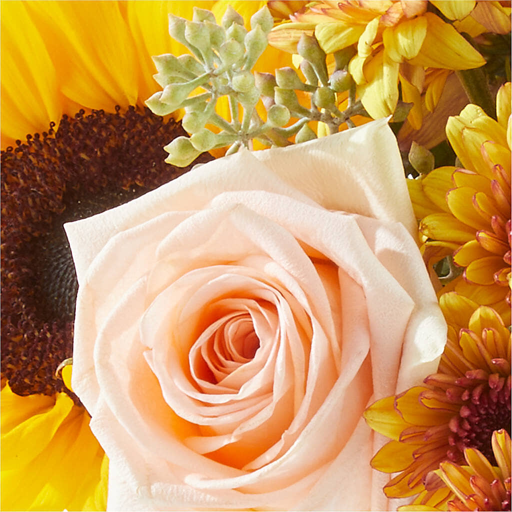 Pumpkin to Talk About Bouquet – CHESAPEAKE FLORAL & GIFTS, Chesapeake VA
