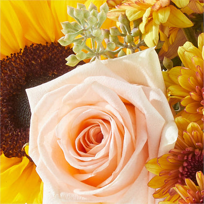 Pumpkin to Talk About Bouquet – CHESAPEAKE FLORAL & GIFTS, Chesapeake VA