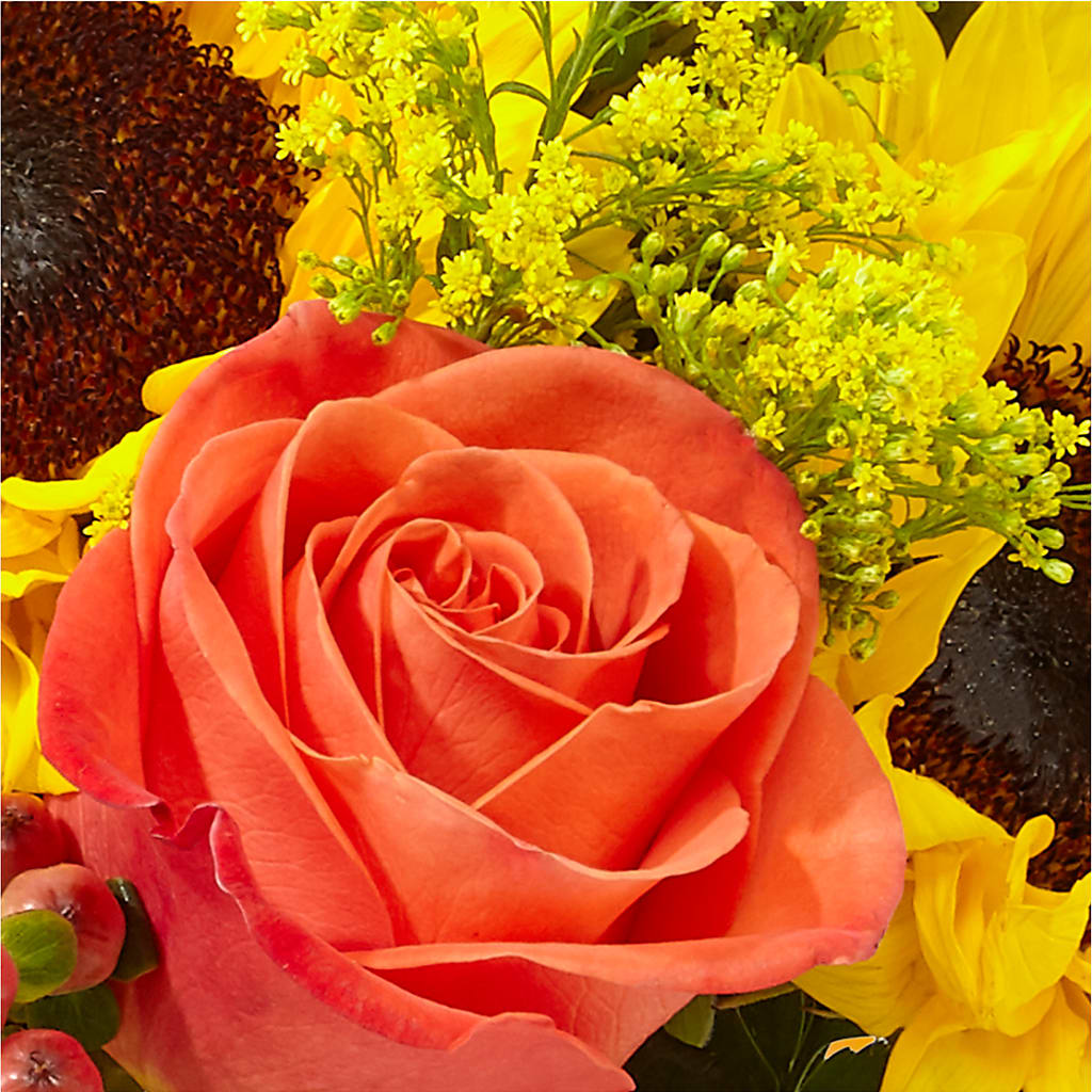Pick of the Patch Pumpkin Bouquet – CHESAPEAKE FLORAL & GIFTS, Chesapeake VA