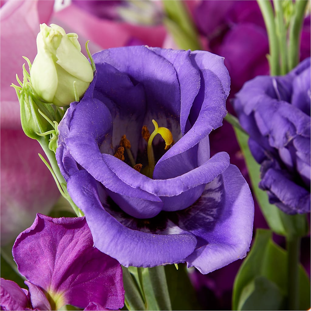 Twilight Glow Bouquet – CHESAPEAKE FLORAL & GIFTS, Chesapeake VA