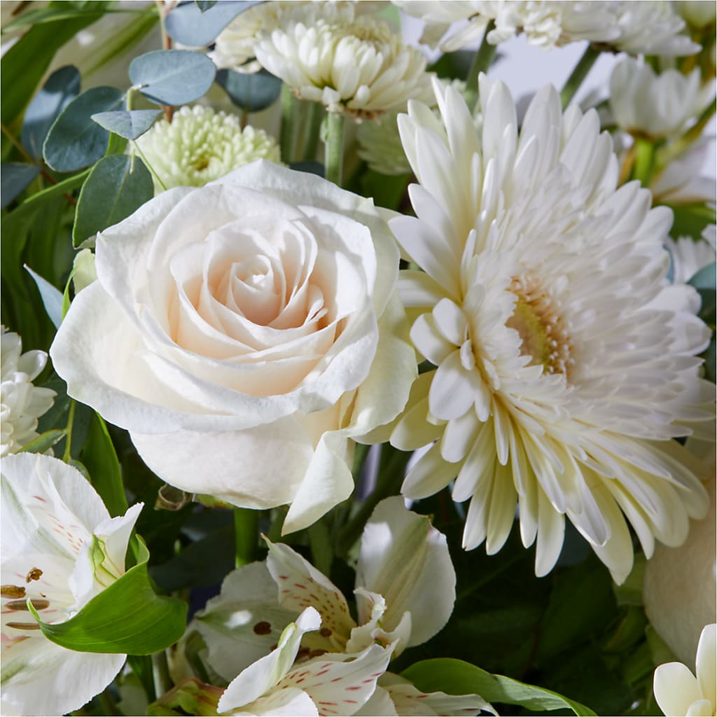 New Beginnings – A Florist Original – CHESAPEAKE FLORAL & GIFTS, Chesapeake VA