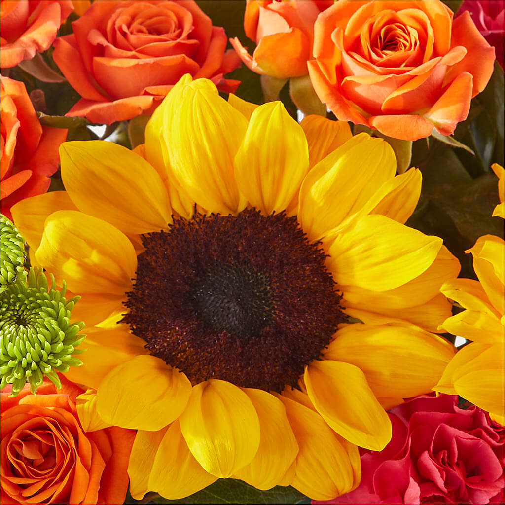 Sun-drenched Blooms Box Bouquet – CHESAPEAKE FLORAL & GIFTS, Chesapeake VA