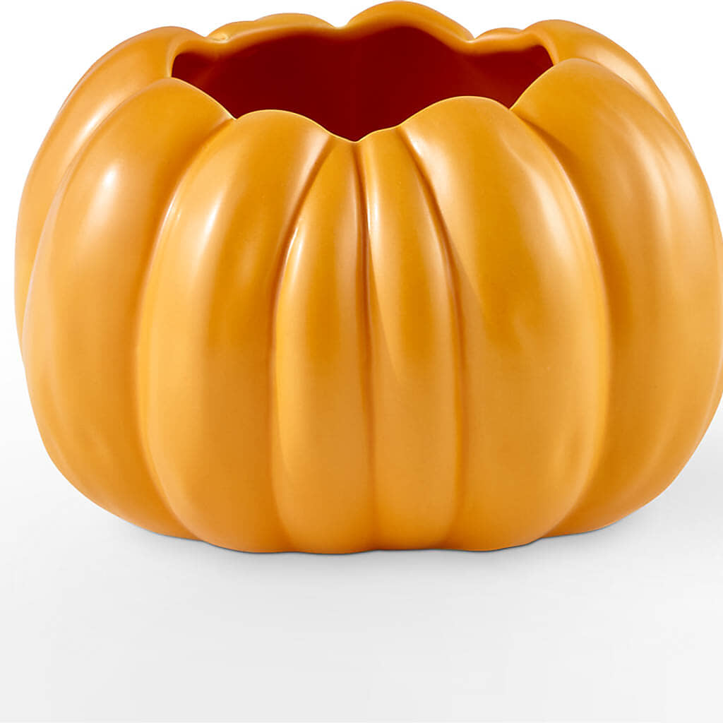 Golden Gourd Pumpkin Bouquet – CHESAPEAKE FLORAL & GIFTS, Chesapeake VA