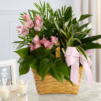 Living Spirit Dishgarden – CHESAPEAKE FLORAL & GIFTS, Chesapeake VA