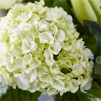 Classic Ivory – A Florist Original – CHESAPEAKE FLORAL & GIFTS, Chesapeake VA