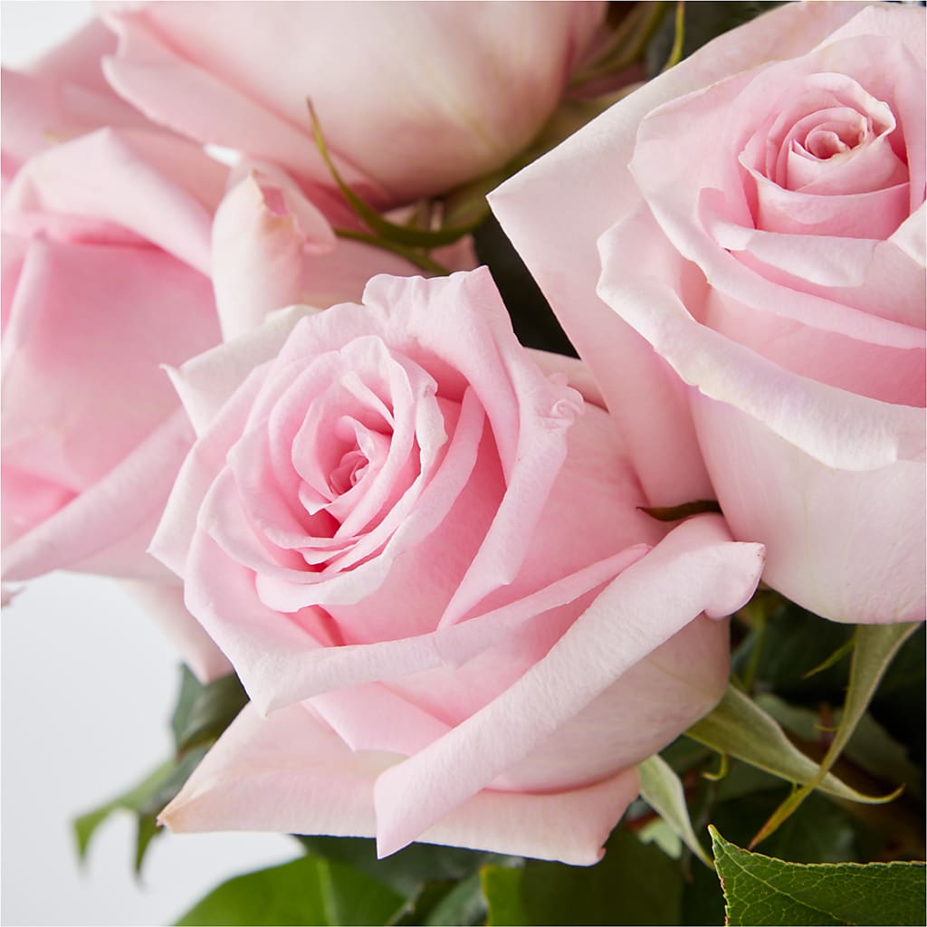 Picture Perfect Pink Rose Bouquet – CHESAPEAKE FLORAL & GIFTS, Chesapeake VA