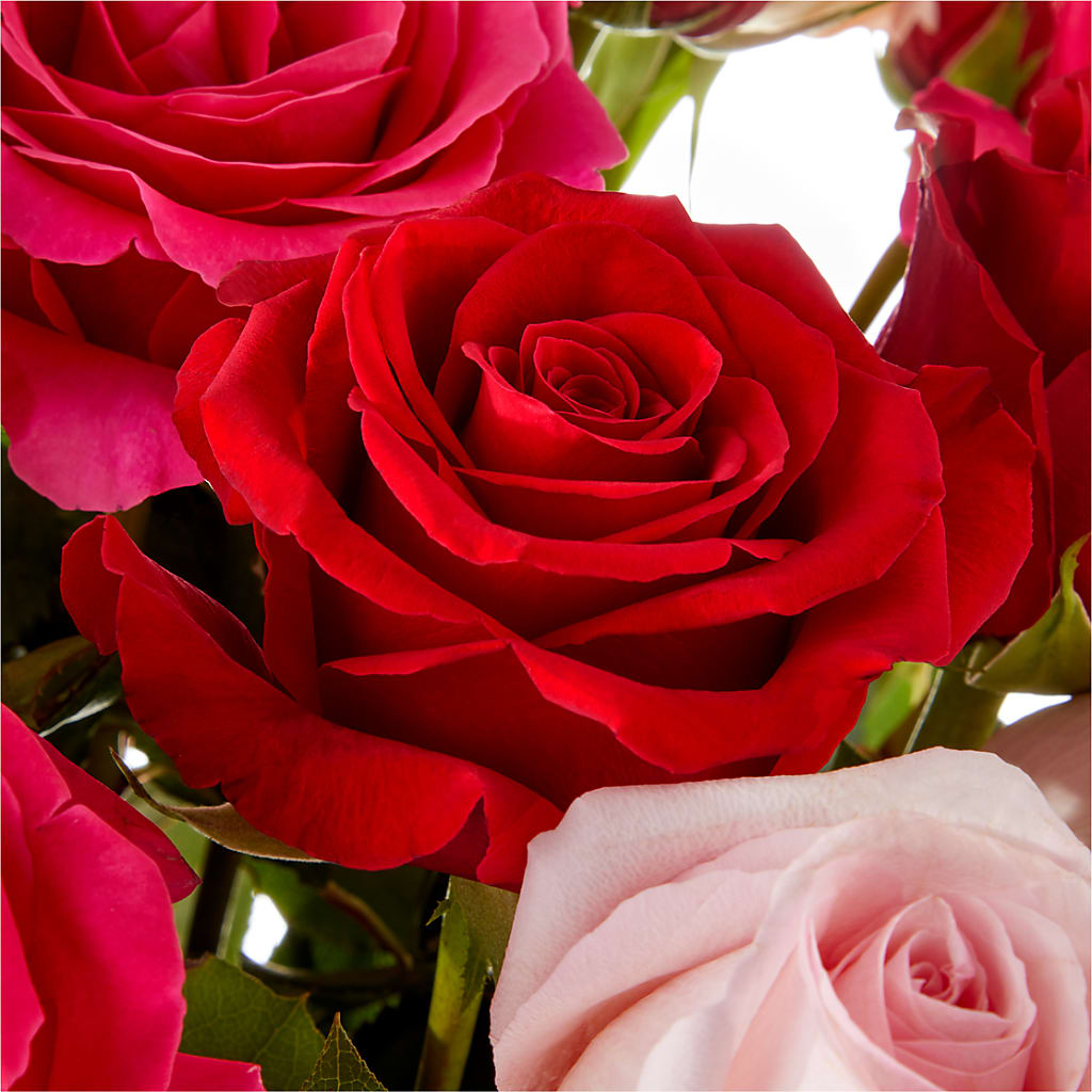 Love Notes Rose Bouquet – CHESAPEAKE FLORAL & GIFTS, Chesapeake VA