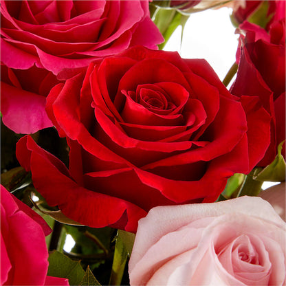 Love Notes Rose Bouquet – CHESAPEAKE FLORAL & GIFTS, Chesapeake VA