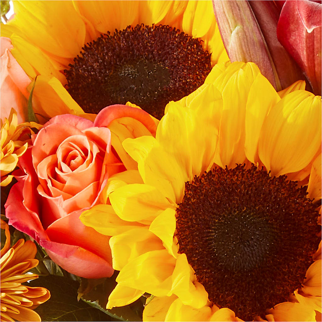 Acorn Lane Bouquet – CHESAPEAKE FLORAL & GIFTS, Chesapeake VA