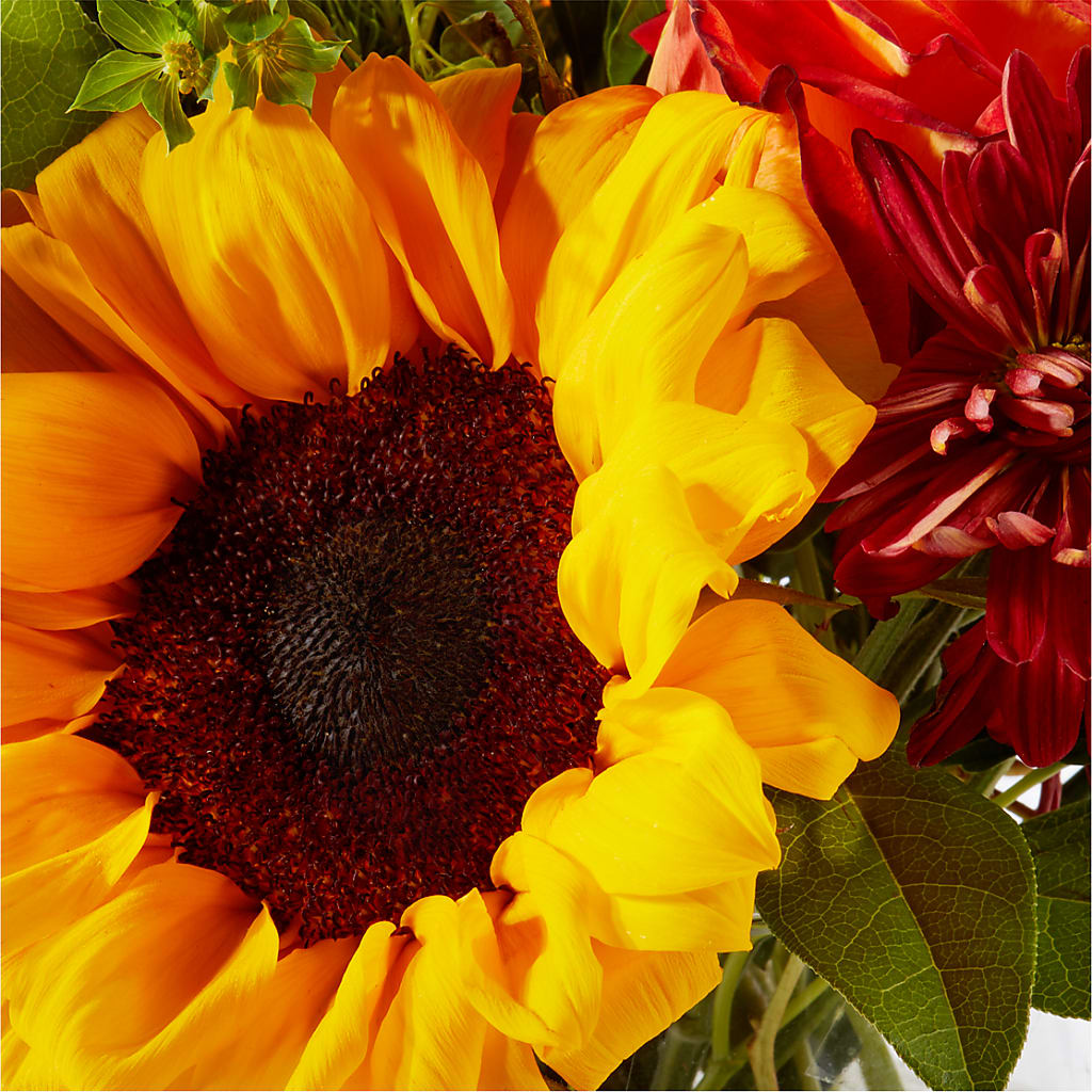 Harvest Festival Bouquet – CHESAPEAKE FLORAL & GIFTS, Chesapeake VA
