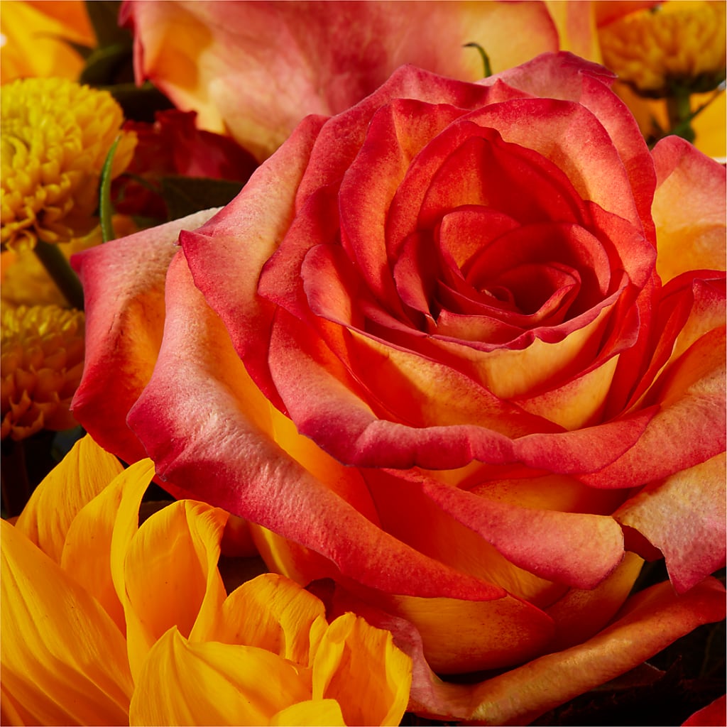 Picnic in the Park Bouquet – CHESAPEAKE FLORAL & GIFTS, Chesapeake VA