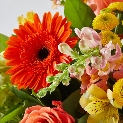Autumn Sunshine Bouquet – CHESAPEAKE FLORAL & GIFTS, Chesapeake VA