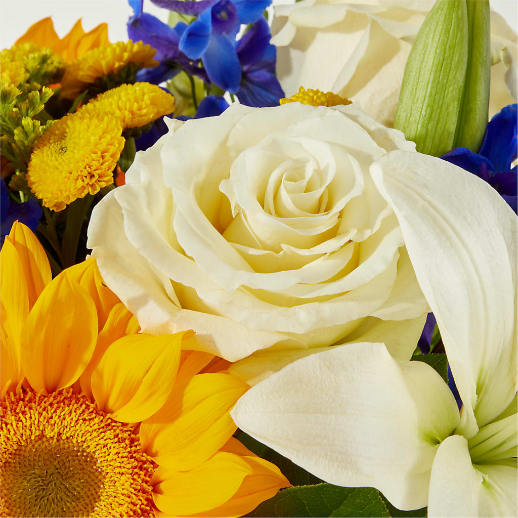 Stargazing Bouquet – CHESAPEAKE FLORAL & GIFTS, Chesapeake VA