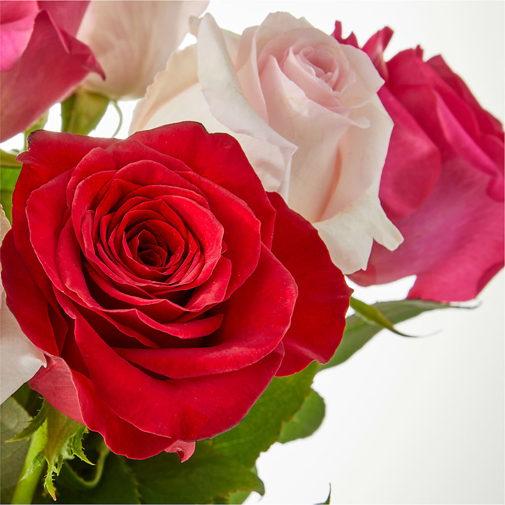 Charming Rose Bouquet – CHESAPEAKE FLORAL & GIFTS, Chesapeake VA