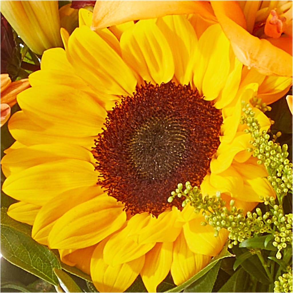 Seasons Change Bouquet – CHESAPEAKE FLORAL & GIFTS, Chesapeake VA