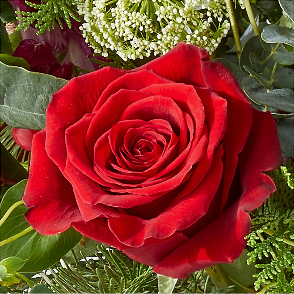 Cranberry Fizz Bouquet – CHESAPEAKE FLORAL & GIFTS, Chesapeake VA