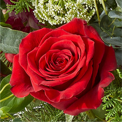 Cranberry Fizz Bouquet – CHESAPEAKE FLORAL & GIFTS, Chesapeake VA