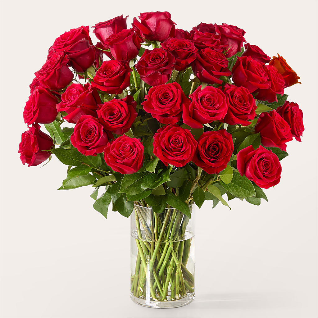 The One Red Rose Bouquet – CHESAPEAKE FLORAL & GIFTS, Chesapeake VA