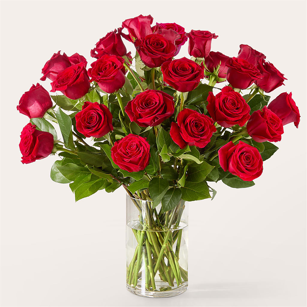 The One Red Rose Bouquet – CHESAPEAKE FLORAL & GIFTS, Chesapeake VA
