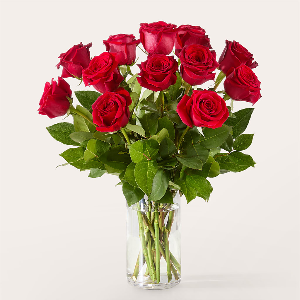 The One Red Rose Bouquet – CHESAPEAKE FLORAL & GIFTS, Chesapeake VA