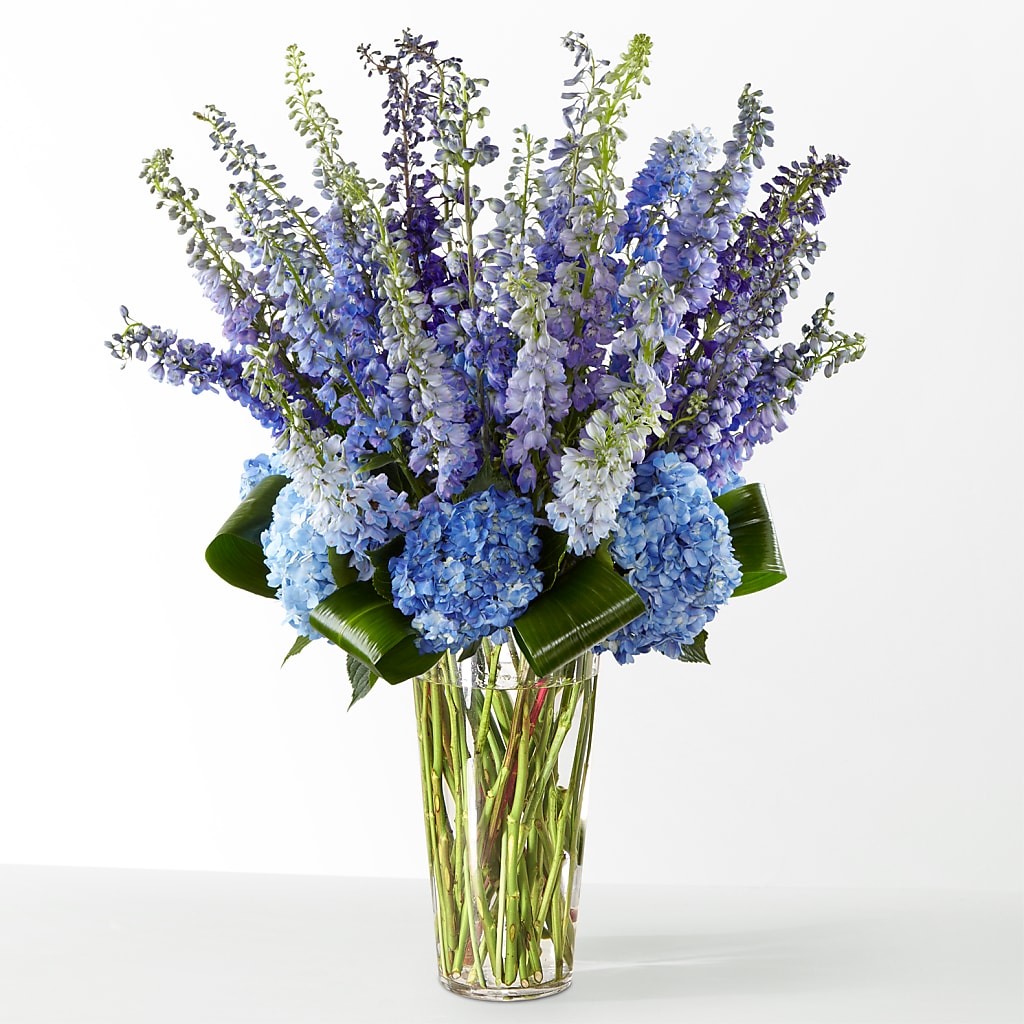 The Editorial – CHESAPEAKE FLORAL & GIFTS, Chesapeake VA