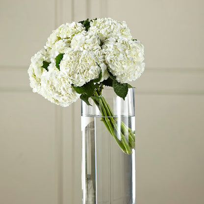 White Hydrangea Hand-Tied Bouquet – CHESAPEAKE FLORAL & GIFTS, Chesapeake VA