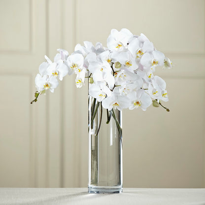 White Phalaenopsis Bouquet – CHESAPEAKE FLORAL & GIFTS, Chesapeake VA