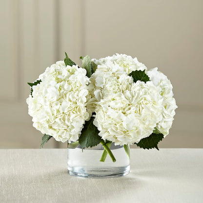 White Hydrangea Bouquet – CHESAPEAKE FLORAL & GIFTS, Chesapeake VA